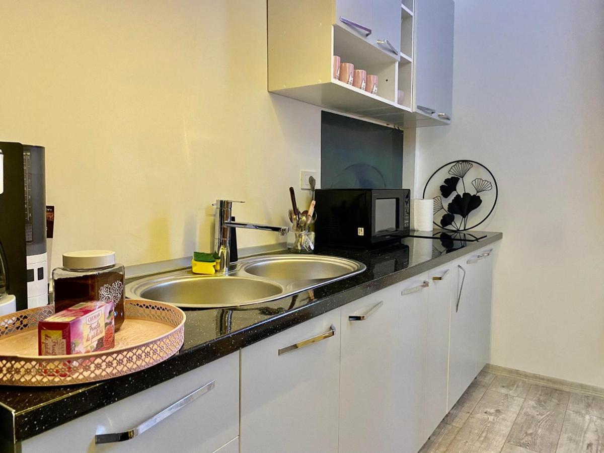 The Central Apartament Apartment Cluj Napoca Bagian luar foto